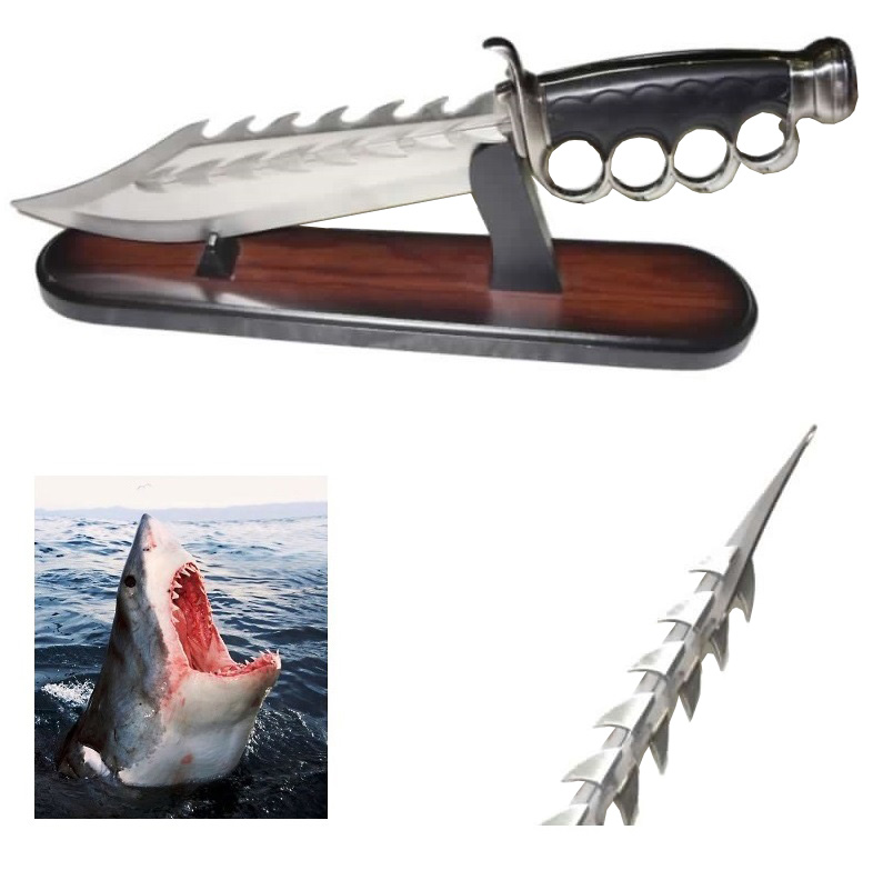 Pugnale shark - coltello fantasy da collezione dello squalo con lama dentata ed espositore da tavolo.