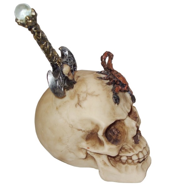 Teschio dello scorpione - soprammobile da collezione a forma di cranio  umano con scorpione e mini spada conficcata teschi e scheletri  collezionismo teschi DM